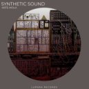 Arte Mola - Synthetic Sound (Original Mix)