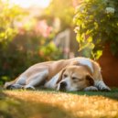 Musica Feliz & Listas de reproducción de música relajante para perros & Música para la ansiedad del - Ladrido Jugueton De Lofi ()