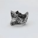 Vlad Dobrovolski - Silent Crown ()
