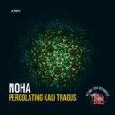 NOHA (Usa) - Percolating Kali Tragus (Original Mix)