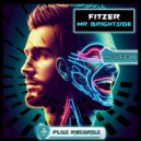 Fitzer - Mr Brightside (Radio Edit)