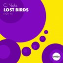 CJ Noks - Lost birds (Original Mix)
