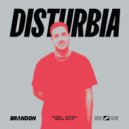 Rihanna - Disturbia (Brandon Bootleg)