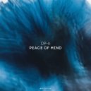 DP-6 - Peace Of Mind (Original Mix)