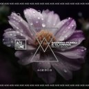 Clarissa, Sandro Puddu - Silver Moon (Original Mix)
