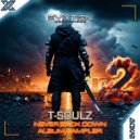 T-Soulz - We Fall (Extended Mix)