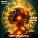 PRIMON - Mayhem (Original Mix)