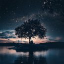 Ambient Chill & The Quiet Collective & Music for Balance - Warm Vibes for Quietude ()