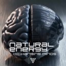 Natural Energy - Change the Place (Original Mix)