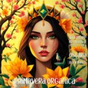 Atman Electronic, Ilija Frapp, Mesmeriser - Ostara Vesna - Dance of All the Beginnings (Original Mix)