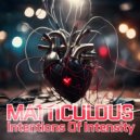 Matticulous - Intentions Of Intensity ()