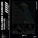 Calhem Parker & Hank The Gorilla - Wanna See (Hank The Gorilla Remix)