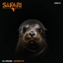 DJ Cruse - Back (Original Mix)