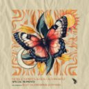 Noble Spirits, Edu Schwartz - Special Moments (Erdi Irmak Remix)