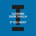 CASSIMM & Dark Dhalia - If You Want