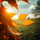 Tmsoft\'s White Noise Sleep Sounds - Late Autumn Wind (Loopable No Fade)
