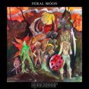 spaceseer - Interlude of Healing ()
