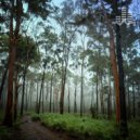 Tmsoft\'s White Noise Sleep Sounds - Rainy Eucalyptus Forest (Loopable No Fade)