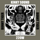 Kinky Sound - 220 W (Dnl Mike Remix)