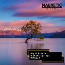 Night Breeze - Wanaka Springs (Original Mix)
