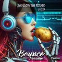 DJ Ter - Swallow The Potato (Original Mix)