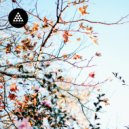 Zeb Samuels - The Switch (Original Mix)