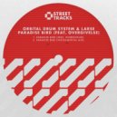 Larse & Orbital Drum System feat. Overgivelse - Paradise Bird (feat. Overgivelse) (Original Mix)