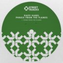Raffi Habel - Phnxx From The Flames (Original Mix)