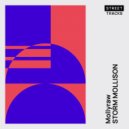 Storm Mollison - Mollyraw (Original Mix)