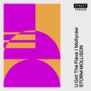 Storm Mollison - U Got The Flava (Original Mix)
