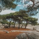 Chillout Paramount - Forest of Life (Original Mix)