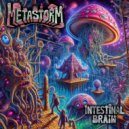 Intestinal Brain - Metastorm (Original Mix)