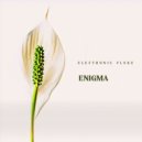 Electronic Fluke - Enigma ()