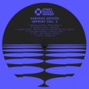 Jeremy Stott & Mayfie - Capture (Original Mix)