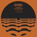 TIBASKO - Cultivation (Josh Gregg\'s Sunrise Mix)