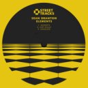 Sean Branton - Elements (Original Mix)