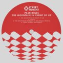 Passerines - 4Teen (Aaron Udy Remix)