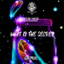 Sergio Pardo - What Is The Secret (Original Mix)