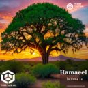 Hamaeel - În Urma Ta (In Your wake) (Original Mix)