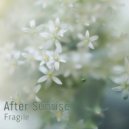 After Sunrise - Fragile (Original Mix)
