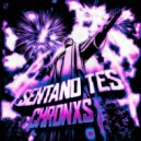 Chronxs - SENTANO TES! (Super Slowed) (Original Mix)