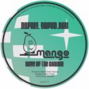 Rafael Yapudjian - Days of the Condor (Original Mix)