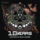 Bruno Minimal Criminal - Analog Cry