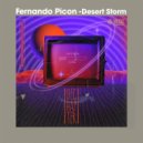 Fernando Picon - Desert Storm (Radio Edit)