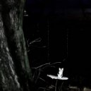 REMVINS - TEXAS CHAINSAW MASSACRE ()