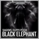Shadows & Filippo Peschi - Never Run ()