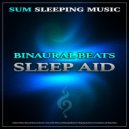 Binaural Beats Sleep & Sleeping Music & Sum Sleeping Music - Calm Music For Sleep ()