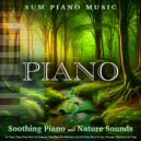 Sum Piano Music & Benjamin Shadows & Deep Sleep Music Experience - The Best Piano ()