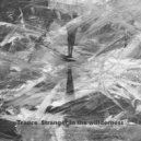 Havidim - Trance Stranger in the Wilderness ()