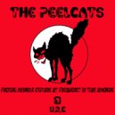 The Peelcats - Fucking Asshole (Original Mix)
